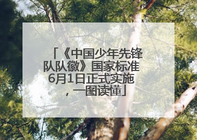 《中国少年先锋队队徽》国家标准6月1日正式实施，一图读懂
