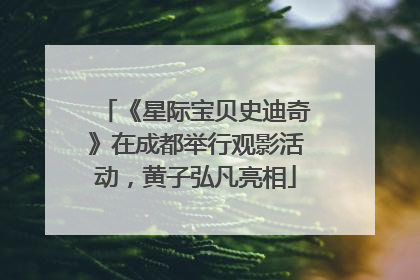 《星际宝贝史迪奇》在成都举行观影活动，黄子弘凡亮相
