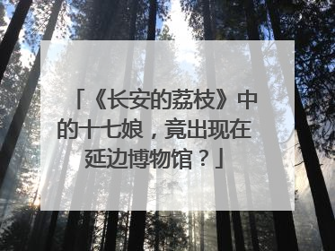 《长安的荔枝》中的十七娘，竟出现在延边博物馆？