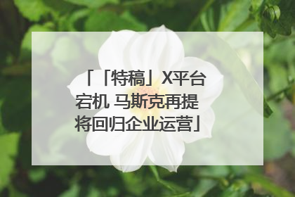「特稿」X平台宕机 马斯克再提将回归企业运营