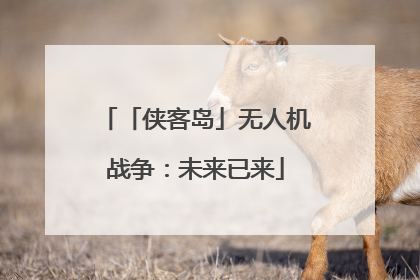「侠客岛」无人机战争：未来已来