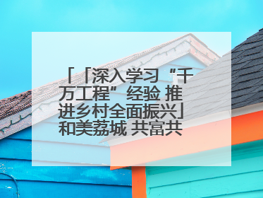 「深入学习“千万工程”经验 推进乡村全面振兴」和美荔城 共富共美 荔城区扎实推进乡村振兴工作