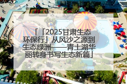 「2025甘肃生态环保行」从风沙之源到生态绿洲——青土湖华丽转身书写生态新篇