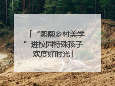 “熙熙乡村美学”进校园特殊孩子欢度好时光