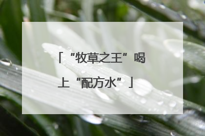 “牧草之王”喝上“配方水”