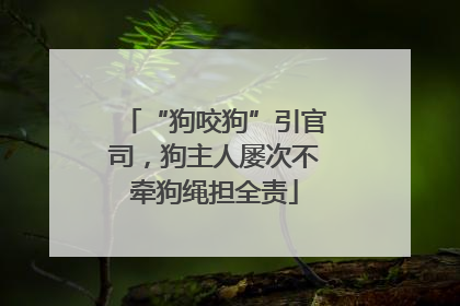 “狗咬狗”引官司，狗主人屡次不牵狗绳担全责