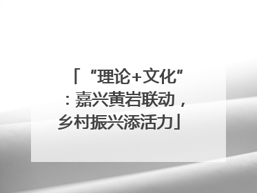 “理论+文化”：嘉兴黄岩联动，乡村振兴添活力