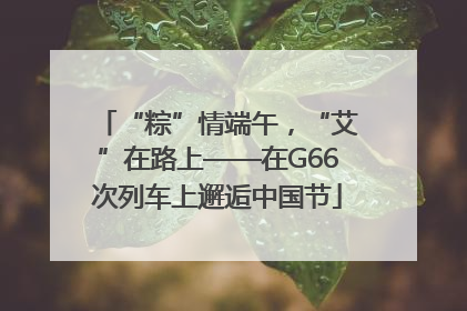 “粽”情端午，“艾”在路上——在G66次列车上邂逅中国节