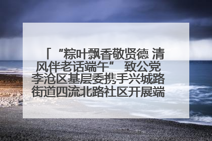 “粽叶飘香敬贤德 清风伴老话端午” 致公党李沧区基层委携手兴城路街道四流北路社区开展端午节主题活动