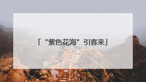 “紫色花海”引客来