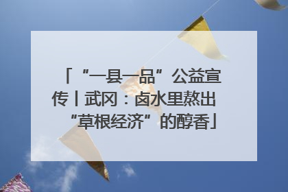 “一县一品”公益宣传丨武冈：卤水里熬出“草根经济”的醇香