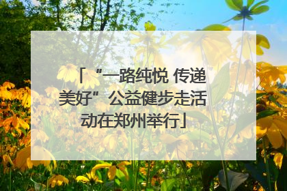 “一路纯悦 传递美好”公益健步走活动在郑州举行