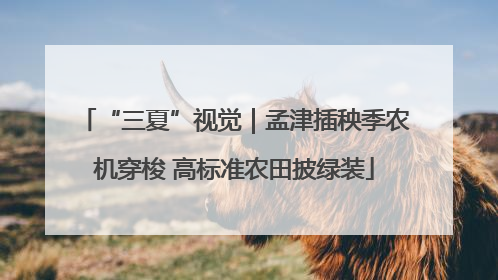 “三夏”视觉｜孟津插秧季农机穿梭 高标准农田披绿装