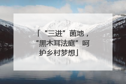 “三进”菌地，“黑木耳法庭”呵护乡村梦想