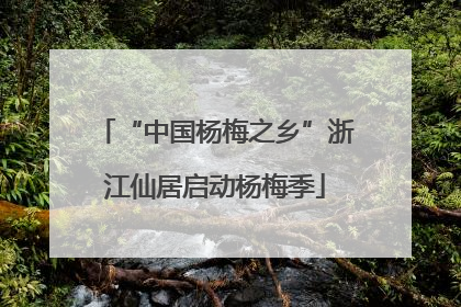 “中国杨梅之乡”浙江仙居启动杨梅季