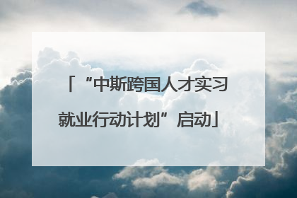 “中斯跨国人才实习就业行动计划”启动