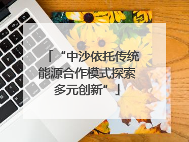 “中沙依托传统能源合作模式探索多元创新”