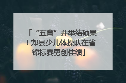 “五育”并举结硕果！郏县少儿体操队在省锦标赛勇创佳绩