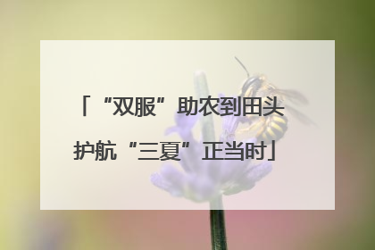 “双服”助农到田头 护航“三夏”正当时