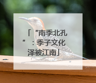“南季北孔”：季子文化泽被江南