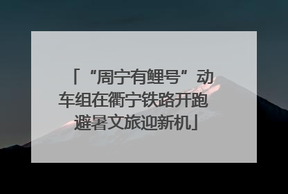 “周宁有鲤号”动车组在衢宁铁路开跑 避暑文旅迎新机