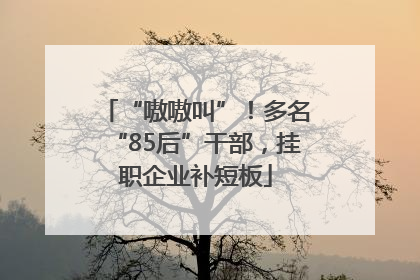 “嗷嗷叫”！多名“85后”干部，挂职企业补短板