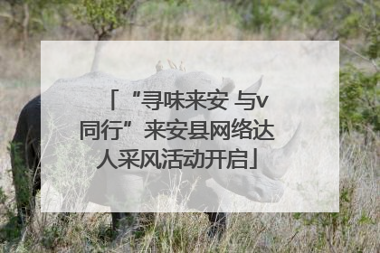 “寻味来安 与v同行”来安县网络达人采风活动开启