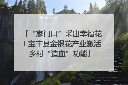 “家门口”采出幸福花！宝丰县金银花产业激活乡村“造血”功能