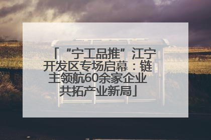 “宁工品推”江宁开发区专场启幕：链主领航60余家企业共拓产业新局