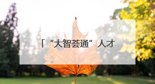 “大智荟通”人才π对暨“人才绿卡”颁发仪式成功举办——西宁人才周大通分会场亮点纷呈