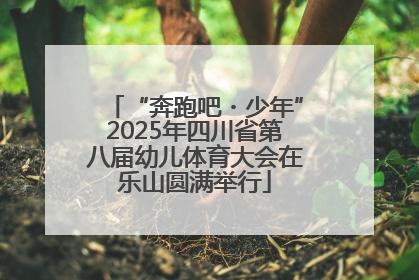 “奔跑吧・少年”2025年四川省第八届幼儿体育大会在乐山圆满举行