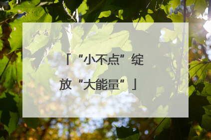 “小不点”绽放“大能量”