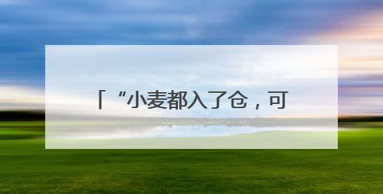 “小麦都入了仓，可以睡个安稳觉了”