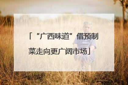 “广西味道”借预制菜走向更广阔市场