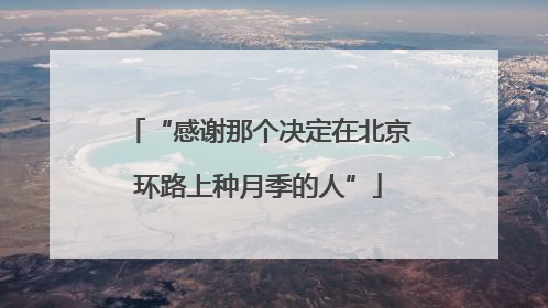 “感谢那个决定在北京环路上种月季的人”