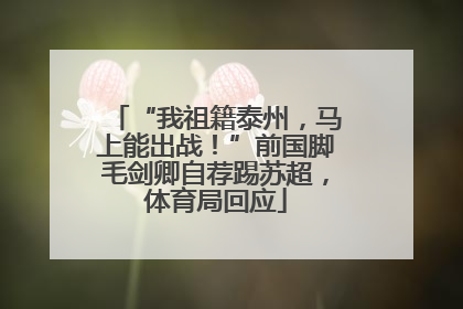 “我祖籍泰州，马上能出战！”前国脚毛剑卿自荐踢苏超，体育局回应