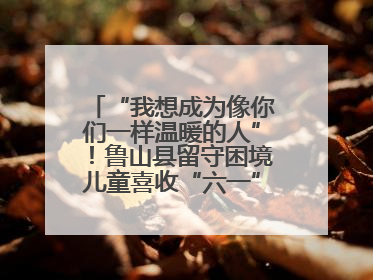 “我想成为像你们一样温暖的人”！鲁山县留守困境儿童喜收“六一”暖心礼