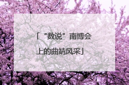“数说”南博会上的曲靖风采