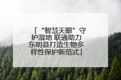 “智慧天眼”守护湿地 联通助力东明县打造生物多样性保护新范式