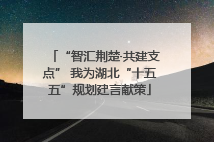 “智汇荆楚·共建支点” 我为湖北“十五五”规划建言献策
