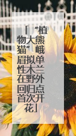 “植物大熊猫”峨眉拟单性木兰在野外回归点首次开花