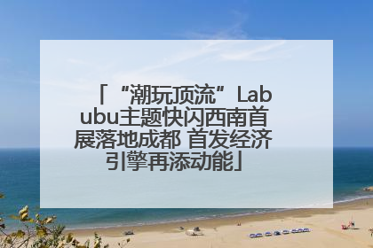 “潮玩顶流”Labubu主题快闪西南首展落地成都 首发经济引擎再添动能