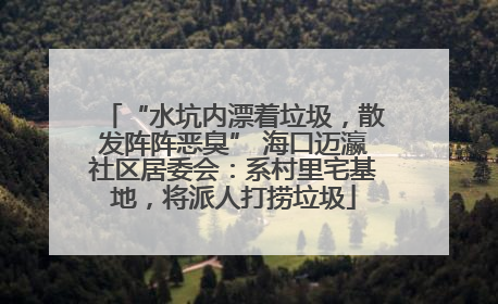 “水坑内漂着垃圾，散发阵阵恶臭” 海口迈瀛社区居委会：系村里宅基地，将派人打捞垃圾