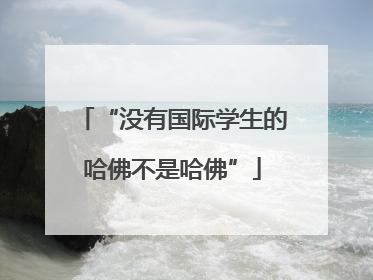 “没有国际学生的哈佛不是哈佛”