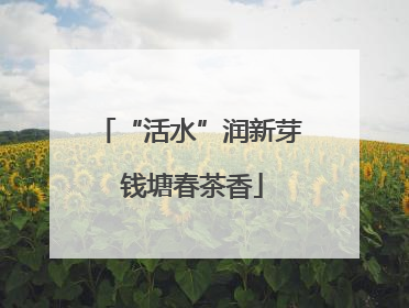 “活水”润新芽 钱塘春茶香