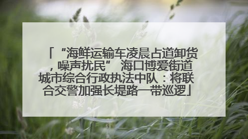 “海鲜运输车凌晨占道卸货，噪声扰民” 海口博爱街道城市综合行政执法中队：将联合交警加强长堤路一带巡逻