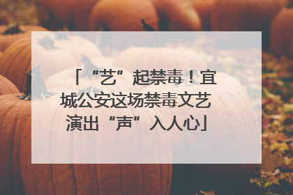 “艺”起禁毒！宜城公安这场禁毒文艺演出“声”入人心