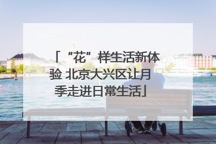 “花”样生活新体验 北京大兴区让月季走进日常生活