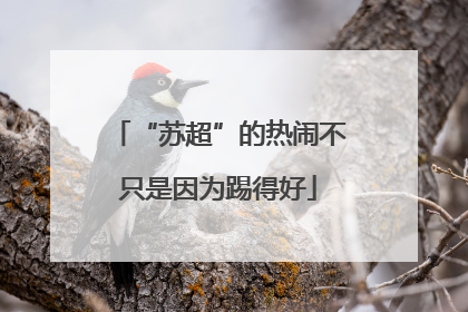 “苏超”的热闹不只是因为踢得好