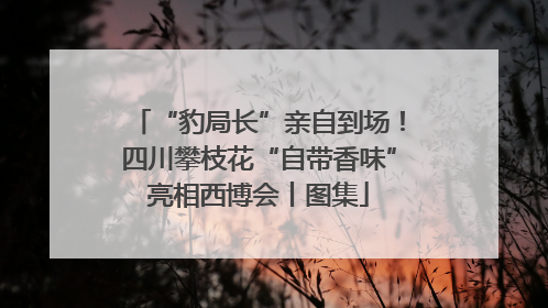 “豹局长”亲自到场！四川攀枝花“自带香味”亮相西博会丨图集